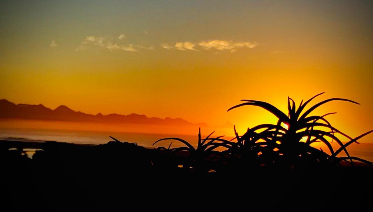 Lookout Lodge Plettenberg Bay Ngoại thất bức ảnh